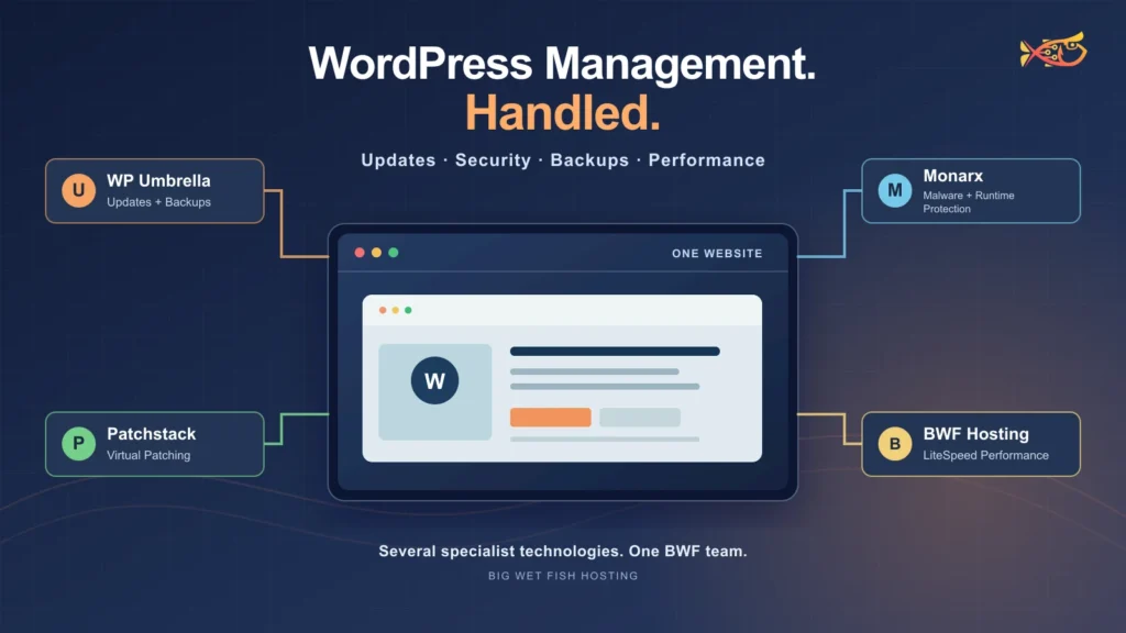 Big Wet Fish WordPress Management with updates, security, backups and LiteSpeed hosting