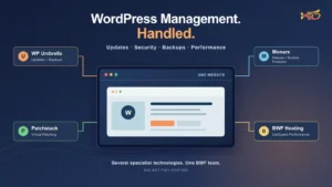 Big Wet Fish WordPress Management with updates, security, backups and LiteSpeed hosting